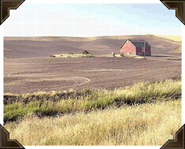 Alberta scenery