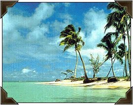 Florida scenery