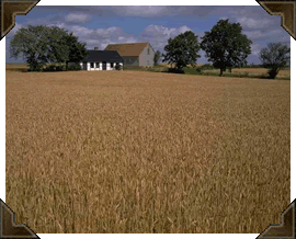Kansas scenery