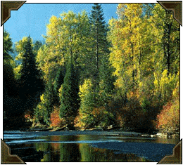 Michigan scenery