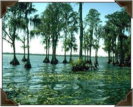 Mississippi scenery