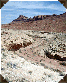 Nevada scenery