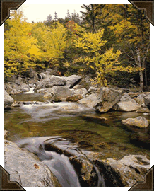 New Hampshire scenery