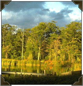New York scenery