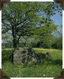 Ontario scenery