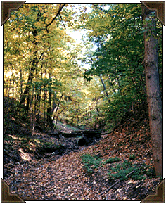 Pennsylvania scenery