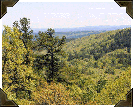 Vermont scenery