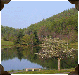 Virginia scenery