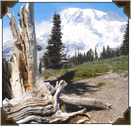 Washington scenery
