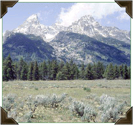 Wyoming scenery